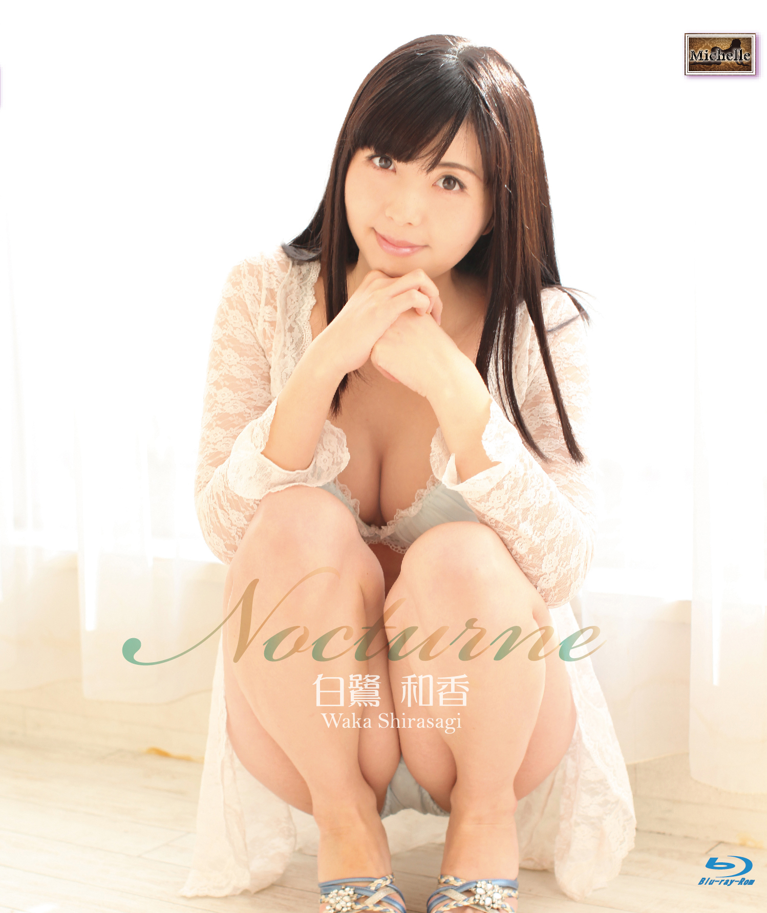 MCLE-019B